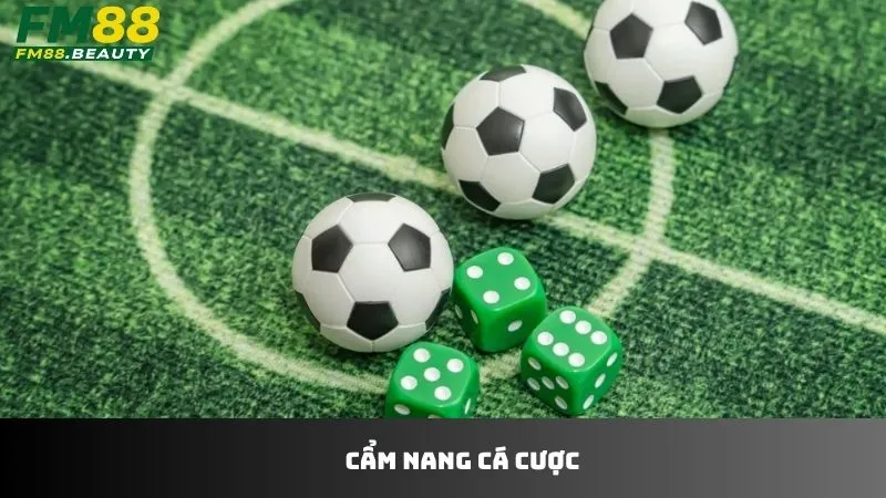 Tips các cẩm nang cá cược hay ho tại FM88 